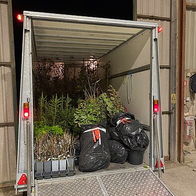 Trailer fyld med træer og bukse, til vinteres haveanlæg