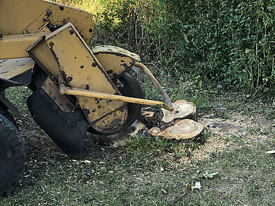 Rodfræsning Enghavens