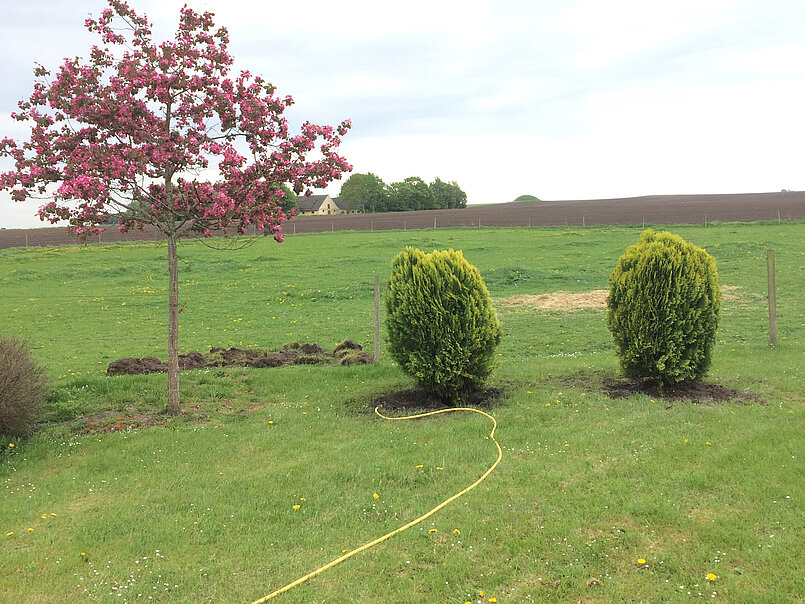 Rendegravning have til kloak Enghavens