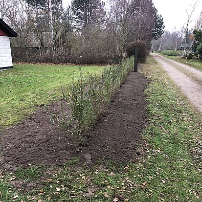 Nye buske anlægsgartner