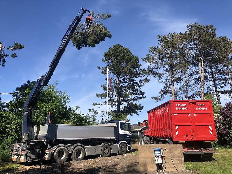 Træfældning med maskiner Enghavens
