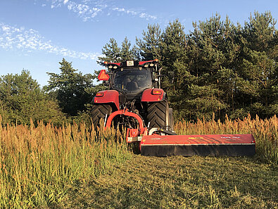 Klip af mark Enghavens