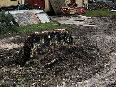 Anlæg af stier Enghavens